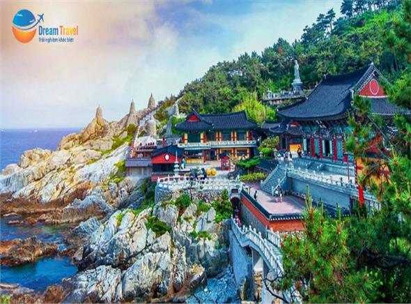 Tour Hàn Quốc Giá Rẻ 6N5Đ: Ngắm Hoa Anh Đào 2026